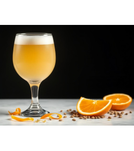 BrauSinn - Weiße Apfelsine (Witbier/Blanche)