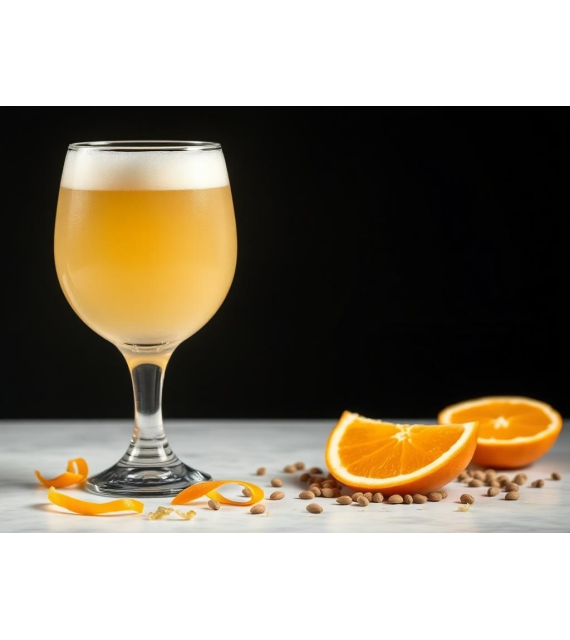 BrauSinn - Weiße Apfelsine (Witbier/Blanche)
